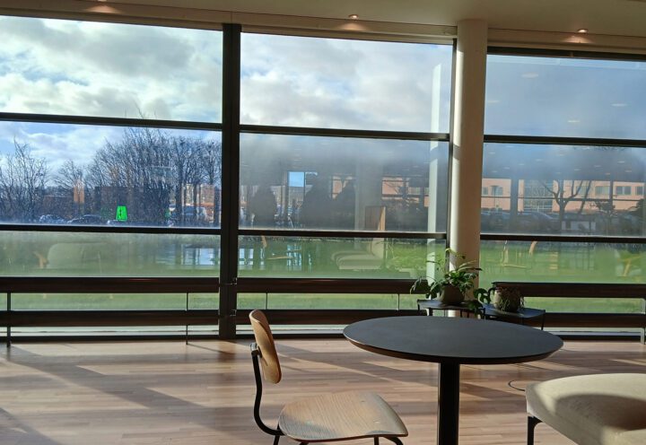 Indendørs udsigt gennem store vinduer med udsyn til græsplæne og træer udenfor, med runde borde og stole i forgrunden.