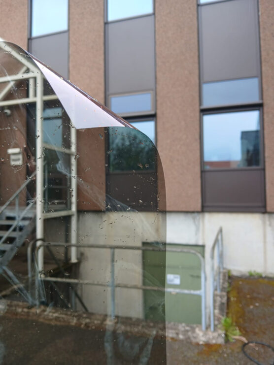 Montering solfilm hos ballerup kommune